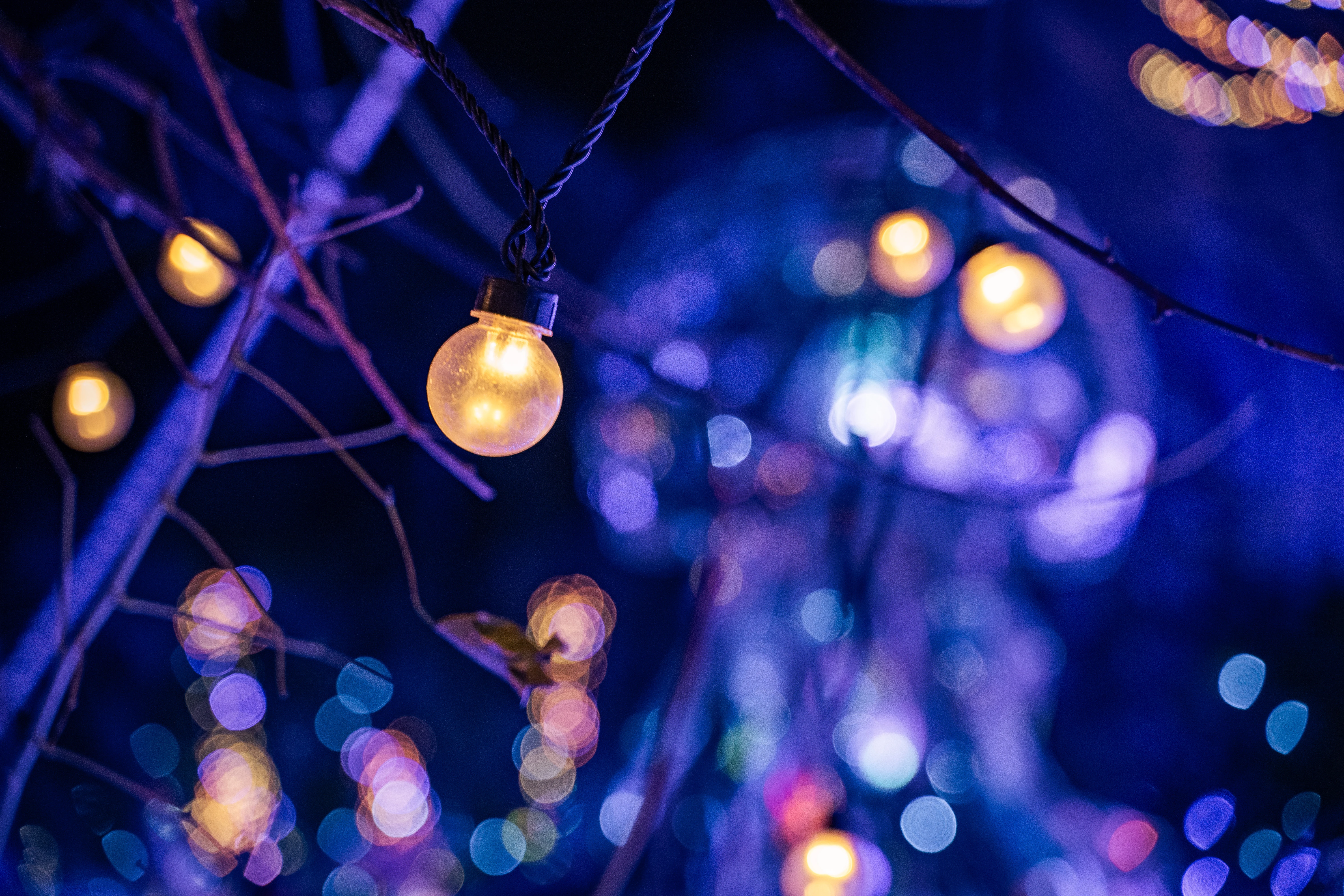 Whimsical Glow: String Lights Amid a Starry Night